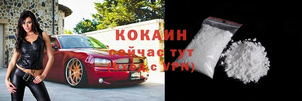 mdpv Каменка