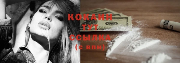 кокс Каменногорск