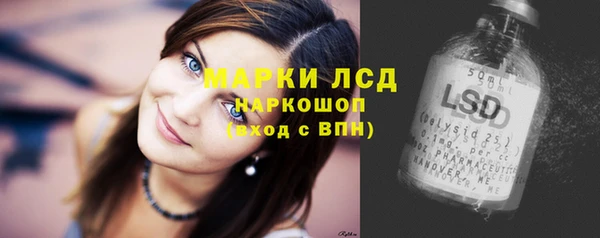 mdpv Каменка
