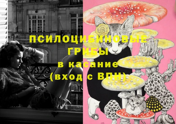 mdpv Каменка
