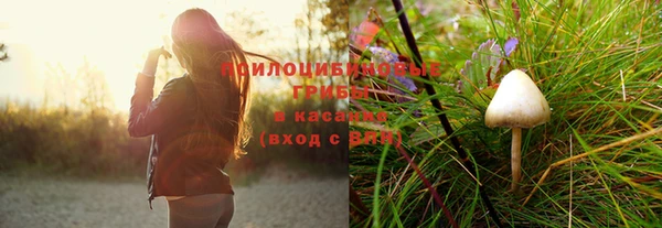 кокс Каменногорск
