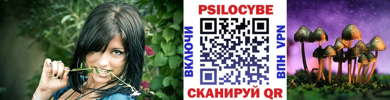Галлюциногенные грибы Cubensis  маркетплейс наркотические препараты  Омск  как найти наркотики 