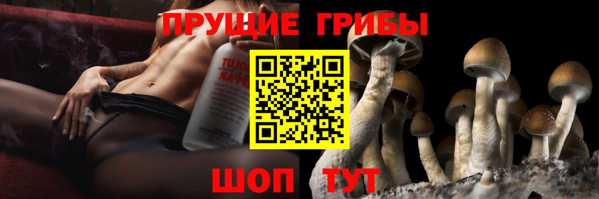 Галлюциногенные грибы Psilocybe  Вход с VPN  Омск 